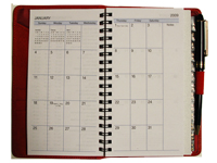 Additional View - Monthly Calendar Format